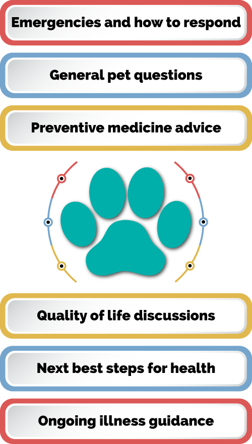 Professional Support. Actionable Advice. General pet questions, quality of life discussions, preventive medicine advice, next best steps for health, emergencies and how to respond, ongoing illness guidance, and more.