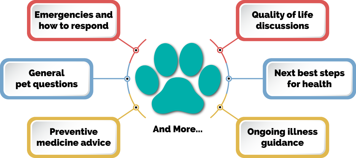 Professional Support. Actionable Advice. General pet questions, quality of life discussions, preventive medicine advice, next best steps for health, emergencies and how to respond, ongoing illness guidance, and more.