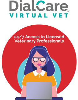 DialCare Virtual Vet