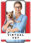 DialCare Virtual Vet