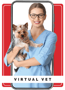 DialCare Virtual Vet