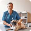 Male veterinarian smiling while holding a dog.