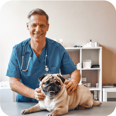 Male veterinarian smiling while holding a dog.